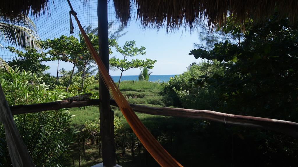 Rancho Sakol Hotel Пуерто Морелос Стая снимка