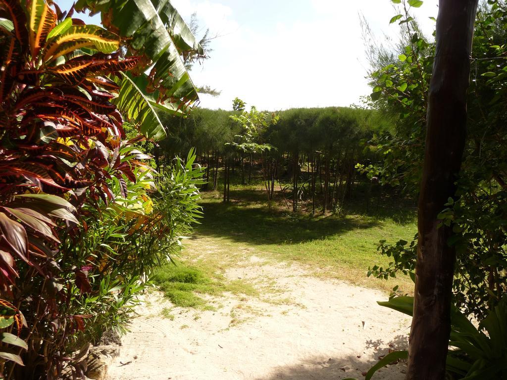Rancho Sakol Hotel Пуерто Морелос Екстериор снимка