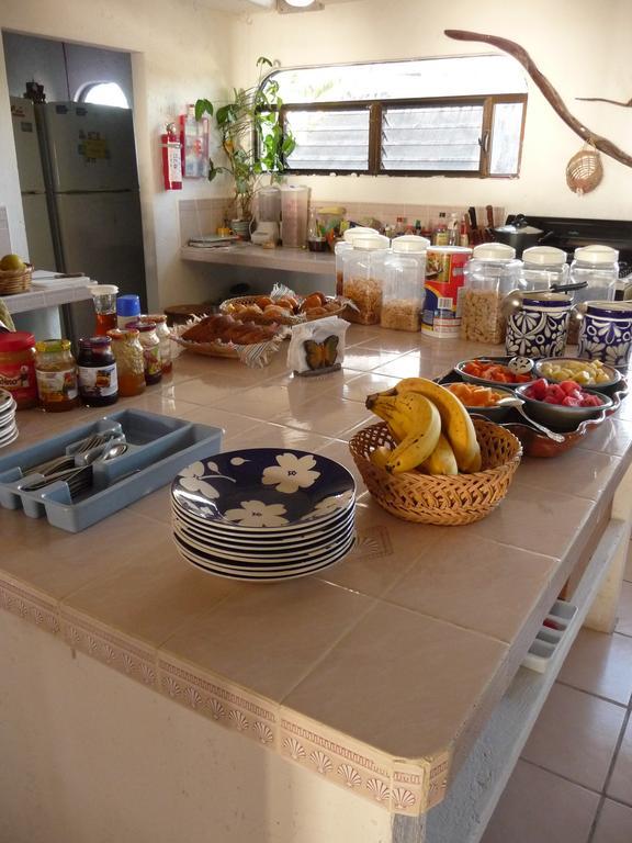 Rancho Sakol Hotel Пуерто Морелос Екстериор снимка
